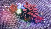【受注制作】栄華を誇る耳飾り