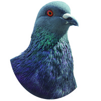 鳩のアクリルキーホルダーB