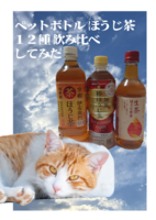 ペットボトルほうじ茶12種飲み比べしてみた