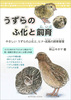 うずらのふ化と飼育