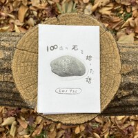 100点の石を拾った話