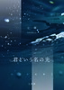 君という名の光
