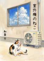 室外機のねこ
