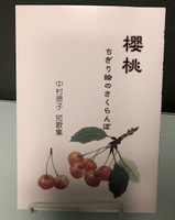 櫻桃