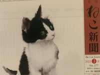 月刊『ねこ新聞』2023年3月号