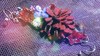 【受注制作】栄華を誇る耳飾り