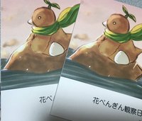 花ぺんぎん観察日記2
