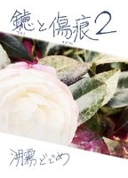 鑢と傷痕2