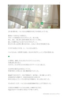 小説「ハルコさんの、なつやすみ。」(PICNICAMERA)