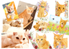 猫雑貨・ポストカード