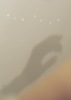 手と手 とてとて