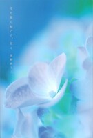 骨を撒く海にて、早々