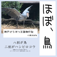 神戸どうぶつ王国旅行記