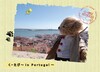 くーたび〜in Portugal〜