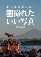 素人写真たちのたまたま撮れたいい写真