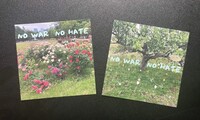 NO WAR NO HATEフラワーカード