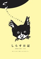 しらす日記 いきおいよくやってきたねこ