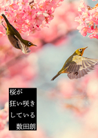 桜が狂い咲きしている