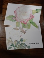 ポストカード薔薇セット