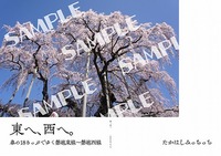 東へ、西へ。