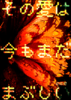 その愛は今もまだまぶしい