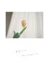 写真と言葉。詩のセット