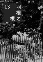 羽根と根 13号