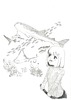 テーマ『水族館』号