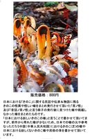 茸ノ怪 零レ噺