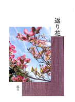 返り花