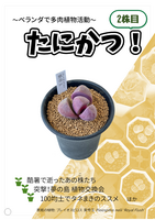〜ベランダで多肉植物活動〜 たにかつ!2株目