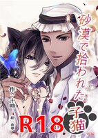 砂漠で拾われた子猫