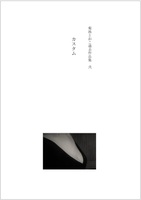 カスタム【菊池とおこ過去作品集 弐】