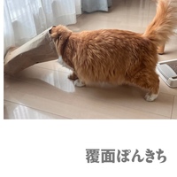 覆面ぽんきち