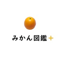 みかん図鑑+