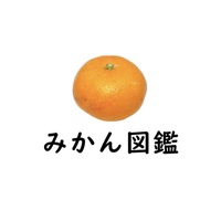 みかん図鑑