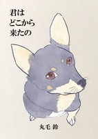 君はどこから来たの