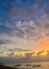 波の花