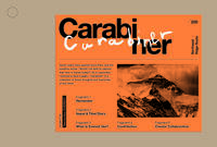 「Carabiner」