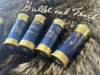 Bullet and Track