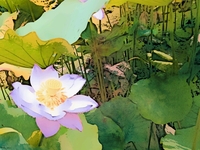 花客会遇