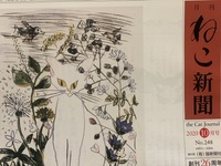 月刊『ねこ新聞』2020年10月号