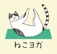 ねこヨガ