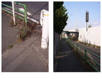 参与観察 Participant observation
