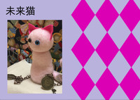 未来猫