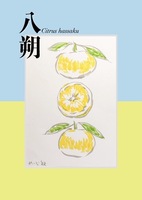 八朔