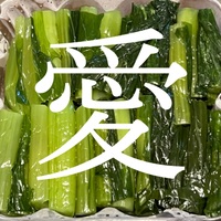 野沢菜アンソロジー 純愛