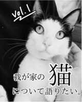 我が家の猫について語りたい。Vol.1