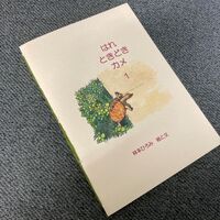 はれときどきカメ