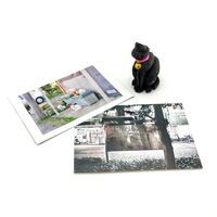 takefree_postcard 猫 キャッツ